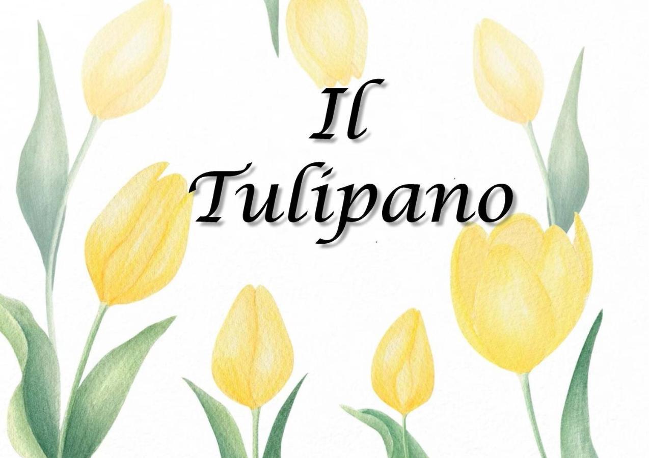 Il Tulipano Leilighet Trezzano Rosa Eksteriør bilde